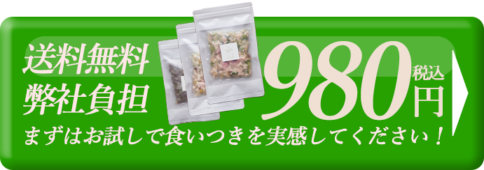 送料無料 弊社負担　980円 リンクボタン