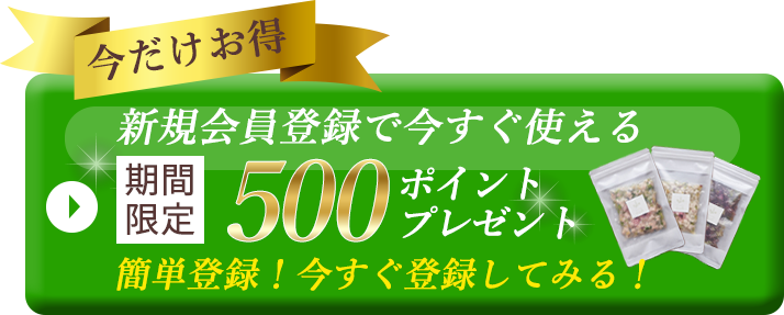新規会員登録 500ポイントプレゼントのリンクボタン
