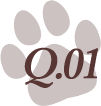 q01