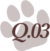 q03