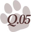 q05