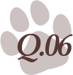 q06