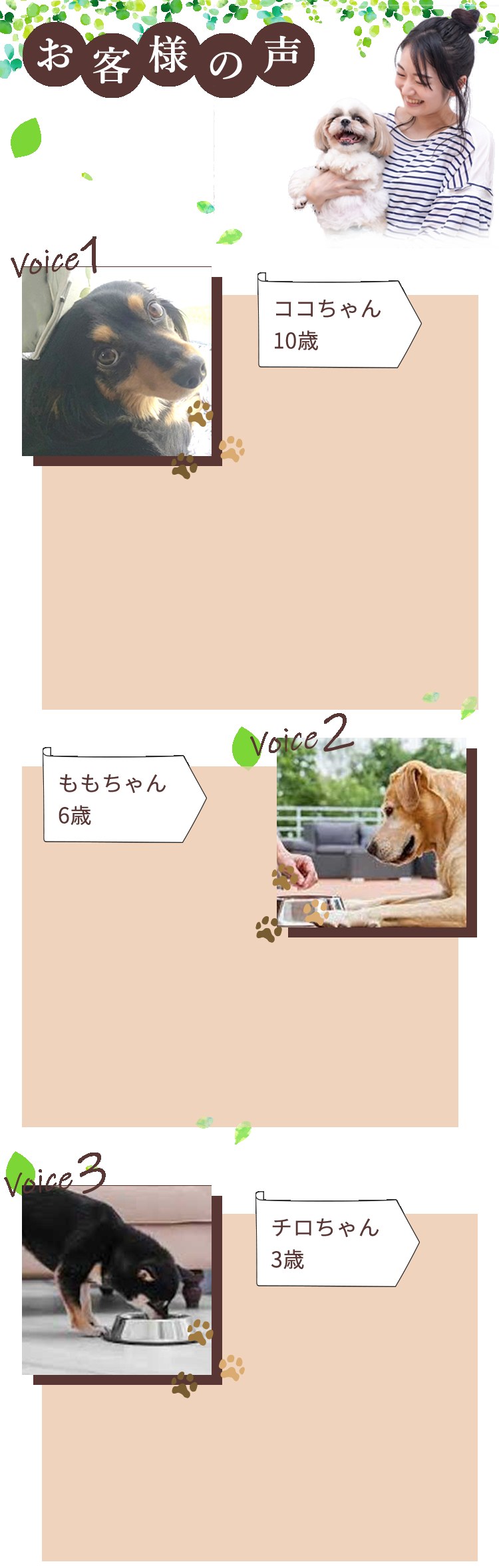 お客様の声
